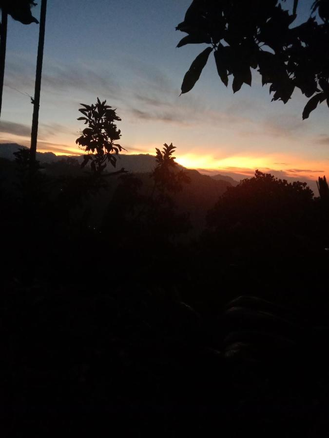 Charming View Homestay Ella Exterior photo